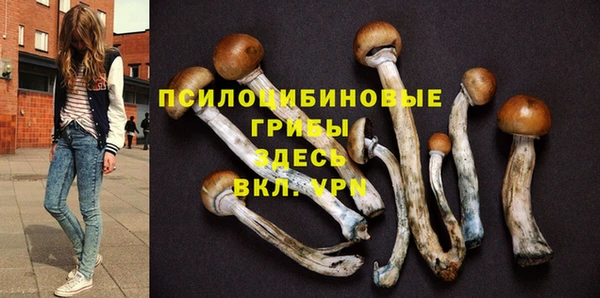 гидра Заводоуковск
