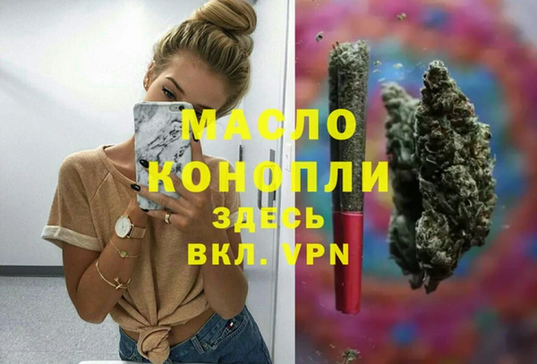 гидра Заводоуковск