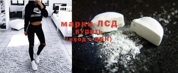 гидра Заволжье